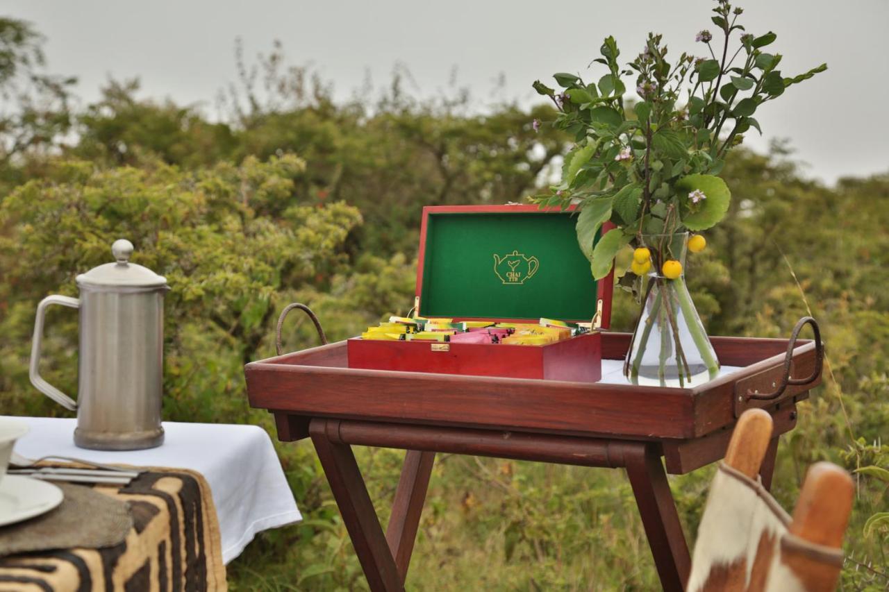 Pakulala Safari Camp - Luxury tent